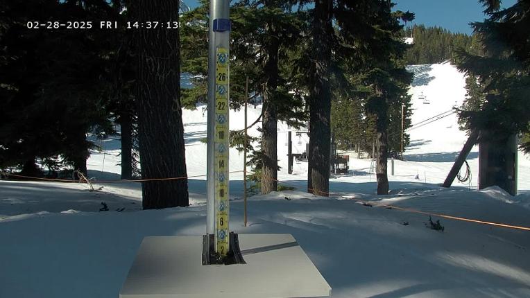 Webcam Mount Hood Meadows: SnowStake