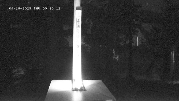Webcam Mount Hood Meadows: SnowStake