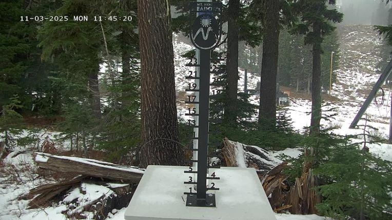 Webcam Mount Hood Meadows: SnowStake