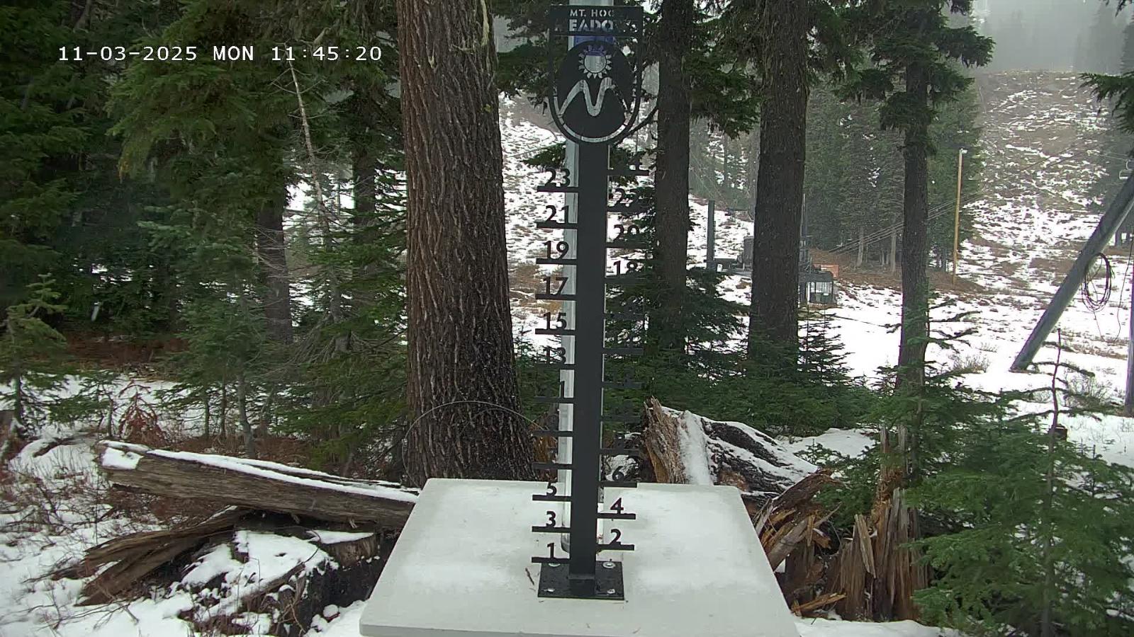 Webcam Mount Hood Meadows: SnowStake