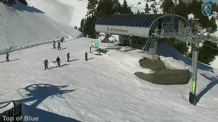 Webcam Mount Hood Meadows: Top of Blue