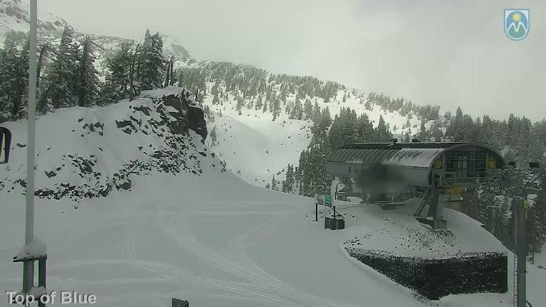 Webcam Mount Hood Meadows: Top of Blue