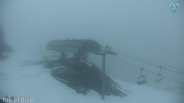 Webcam Mount Hood Meadows: Top of Blue