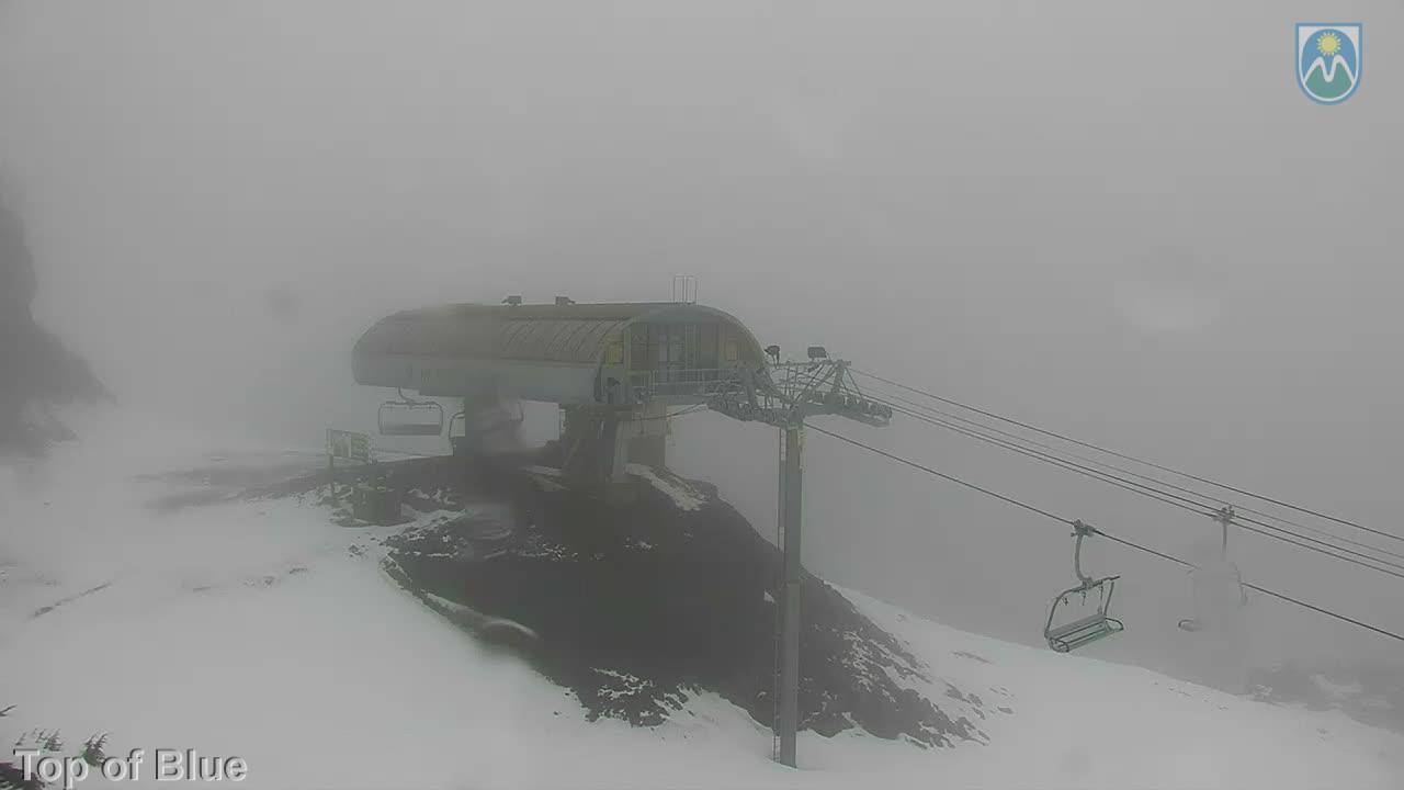 Webcam Mount Hood Meadows: Top of Blue