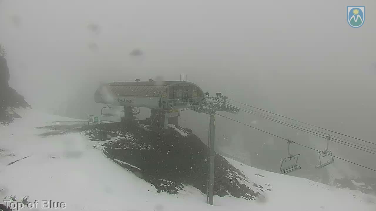 Webcam Mount Hood Meadows: Top of Blue
