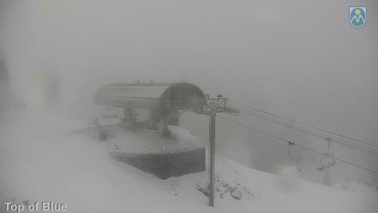 Webcam Mount Hood Meadows: Top of Blue