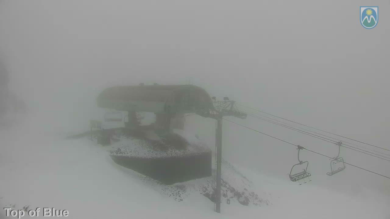 Webcam Mount Hood Meadows: Top of Blue