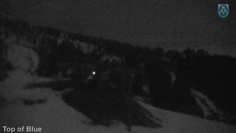 Webcam Mount Hood Meadows: Top of Blue