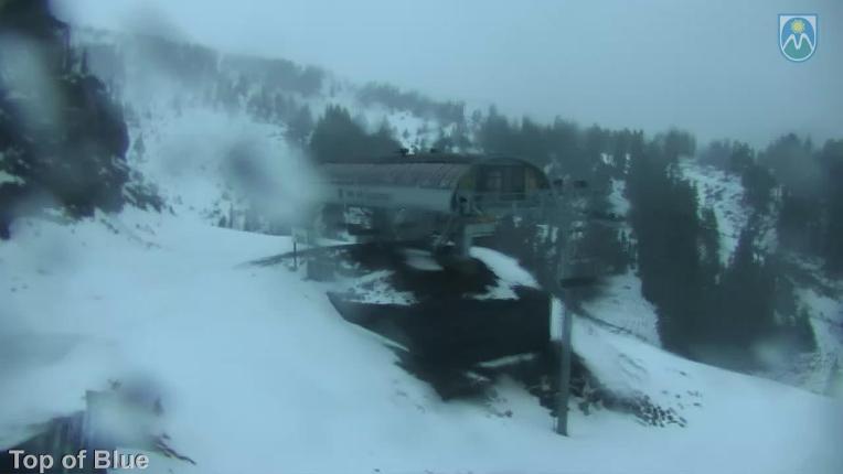 Webcam Mount Hood Meadows: Top of Blue