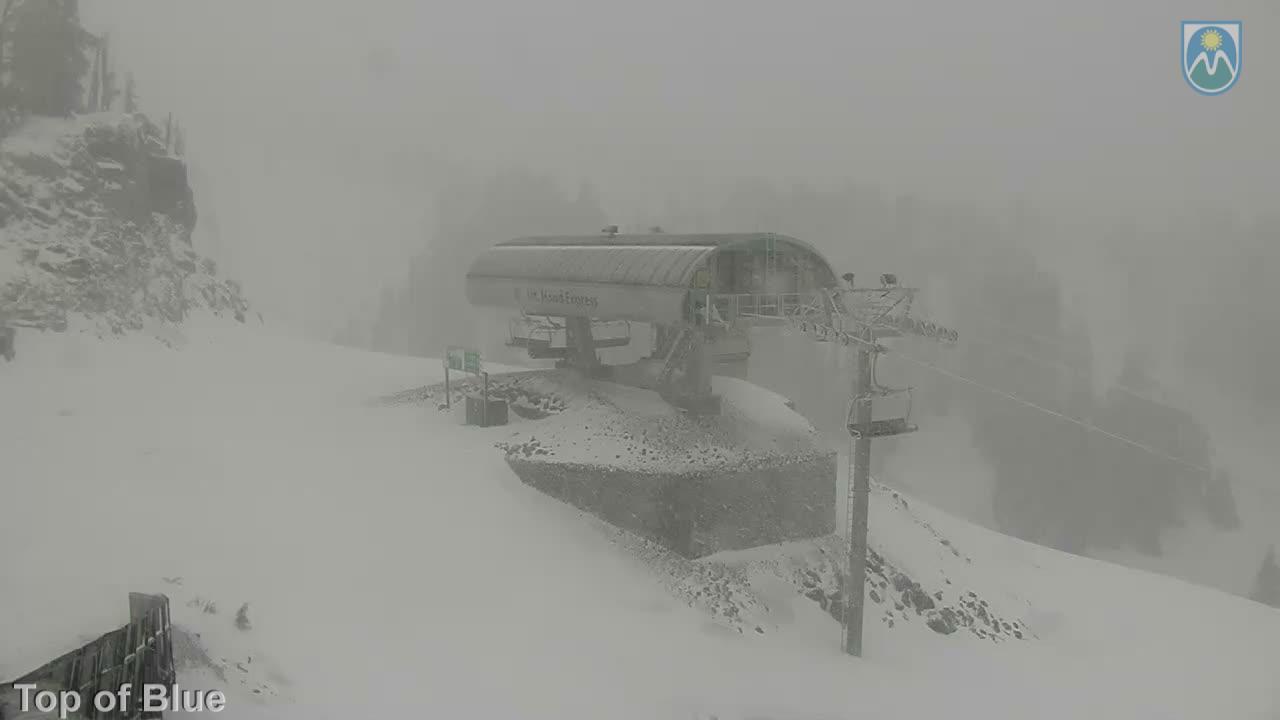 Webcam Mount Hood Meadows: Top of Blue
