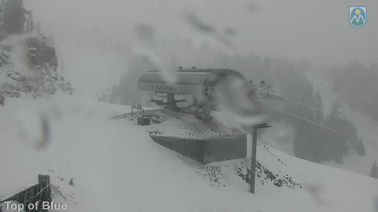 Webcam Mount Hood Meadows: Top of Blue