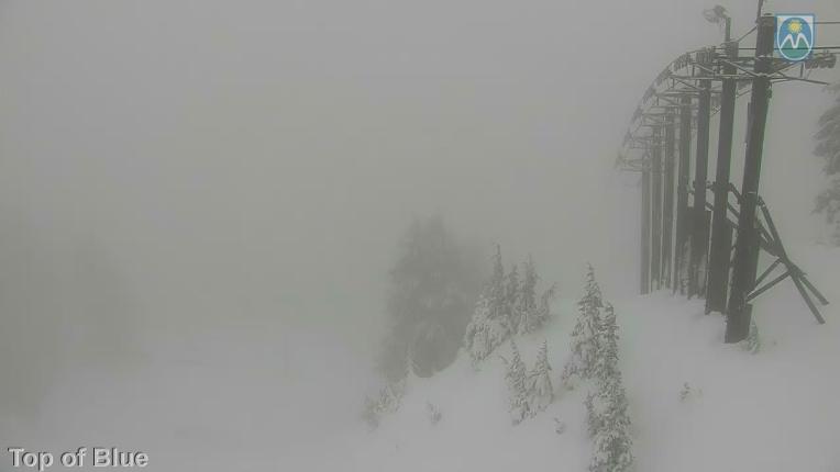 Webcam Mount Hood Meadows: Top of Blue