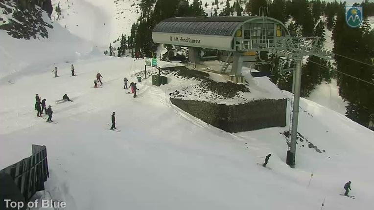 Webcam Mount Hood Meadows: Top of Blue