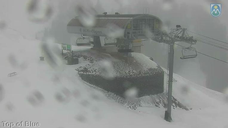Webcam Mount Hood Meadows: Top of Blue