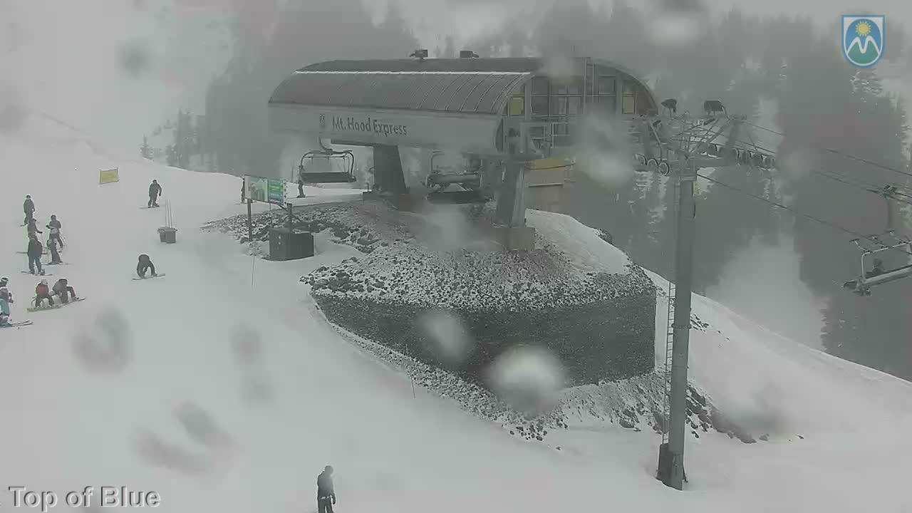 Webcam Mount Hood Meadows: Top of Blue