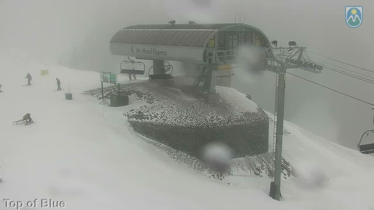 Webcam Mount Hood Meadows: Top of Blue