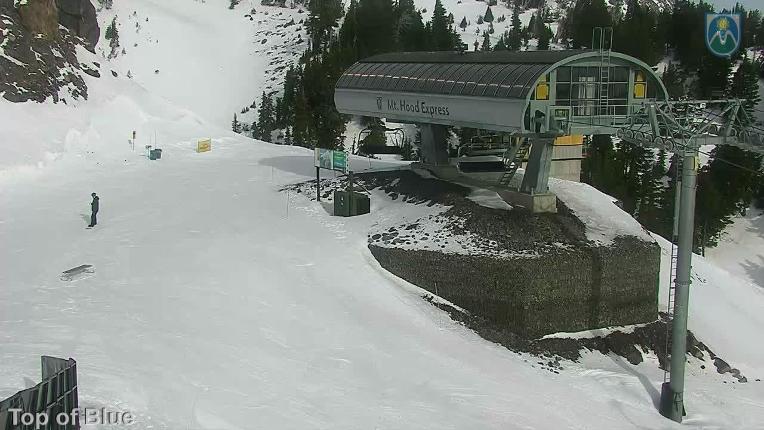 Webcam Mount Hood Meadows: Top of Blue