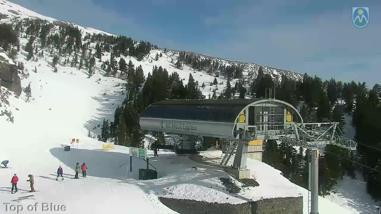 Webcam Mount Hood Meadows: Top of Blue