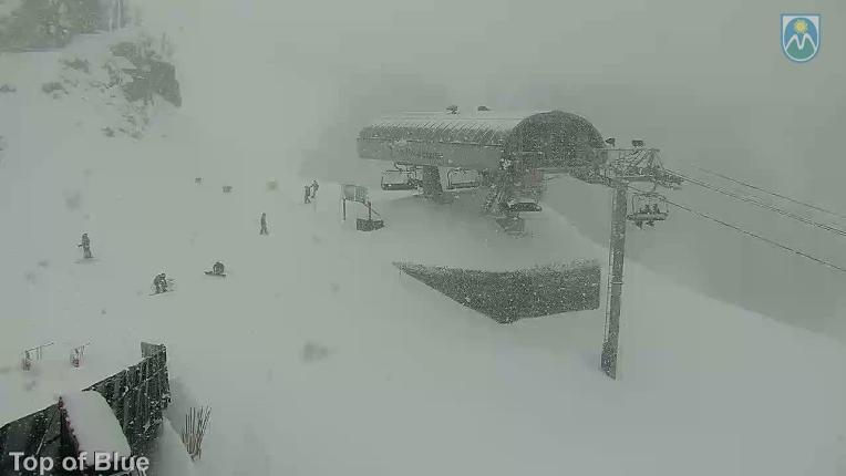 Webcam Mount Hood Meadows: Top of Blue