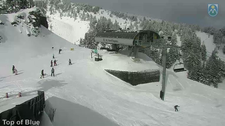 Webcam Mount Hood Meadows: Top of Blue