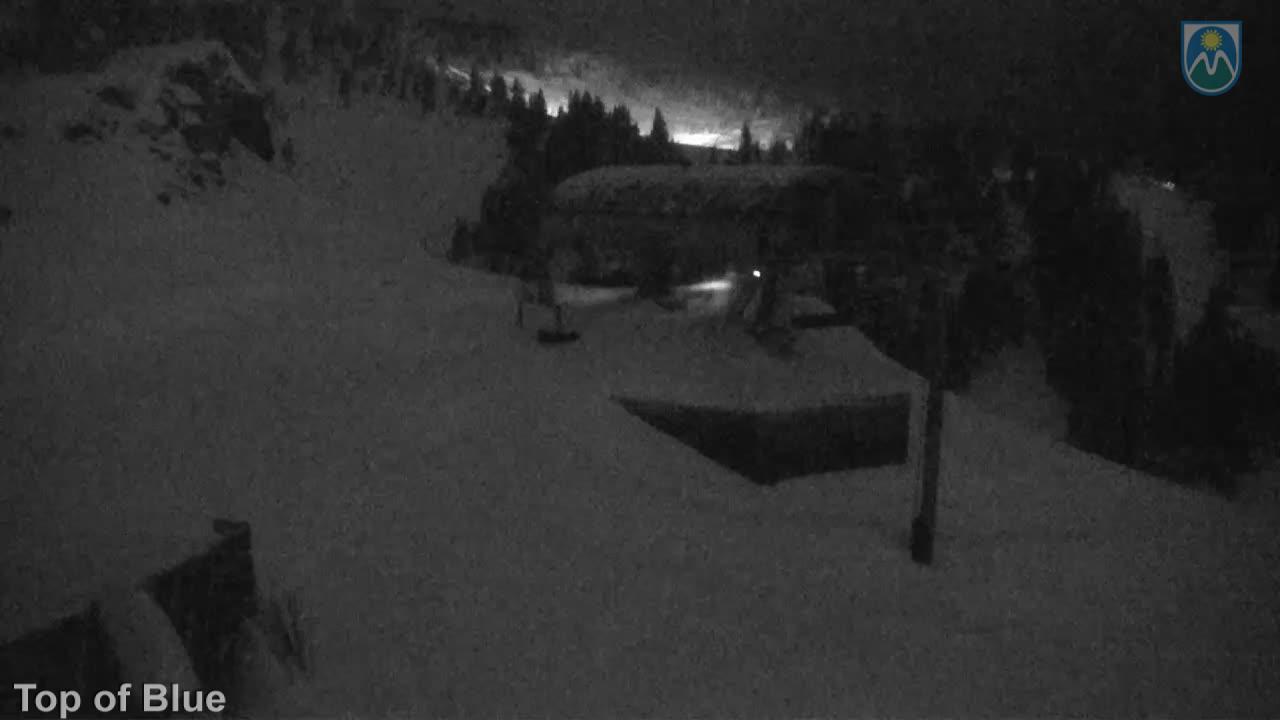 Webcam Mount Hood Meadows: Top of Blue