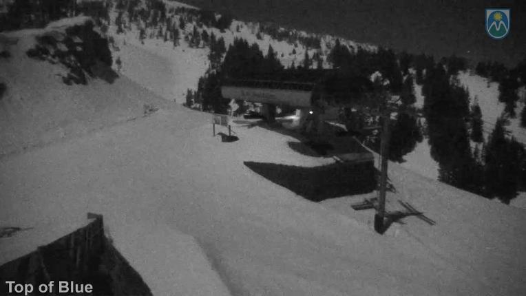 Webcam Mount Hood Meadows: Top of Blue