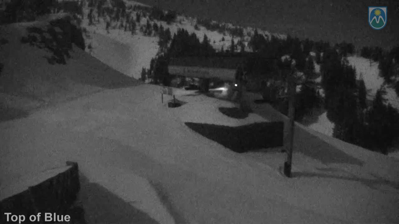 Webcam Mount Hood Meadows: Top of Blue