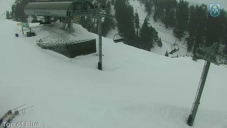 Webcam Mount Hood Meadows: Top of Blue