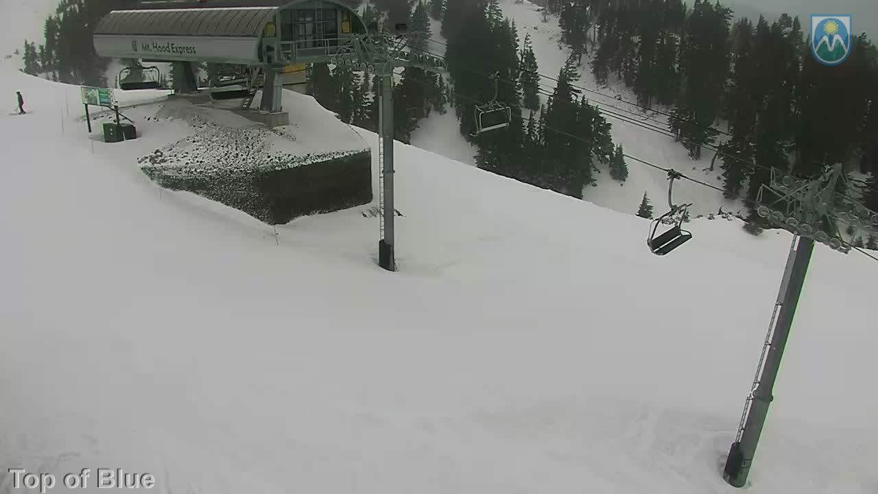 Webcam Mount Hood Meadows: Top of Blue