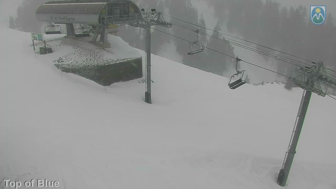 Webcam Mount Hood Meadows: Top of Blue