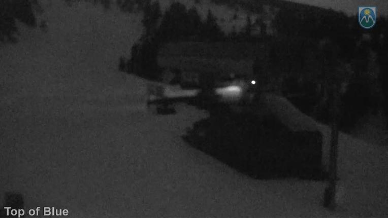 Webcam Mount Hood Meadows: Top of Blue