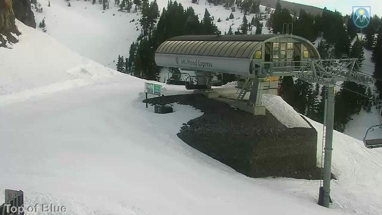 Webcam Mount Hood Meadows: Top of Blue