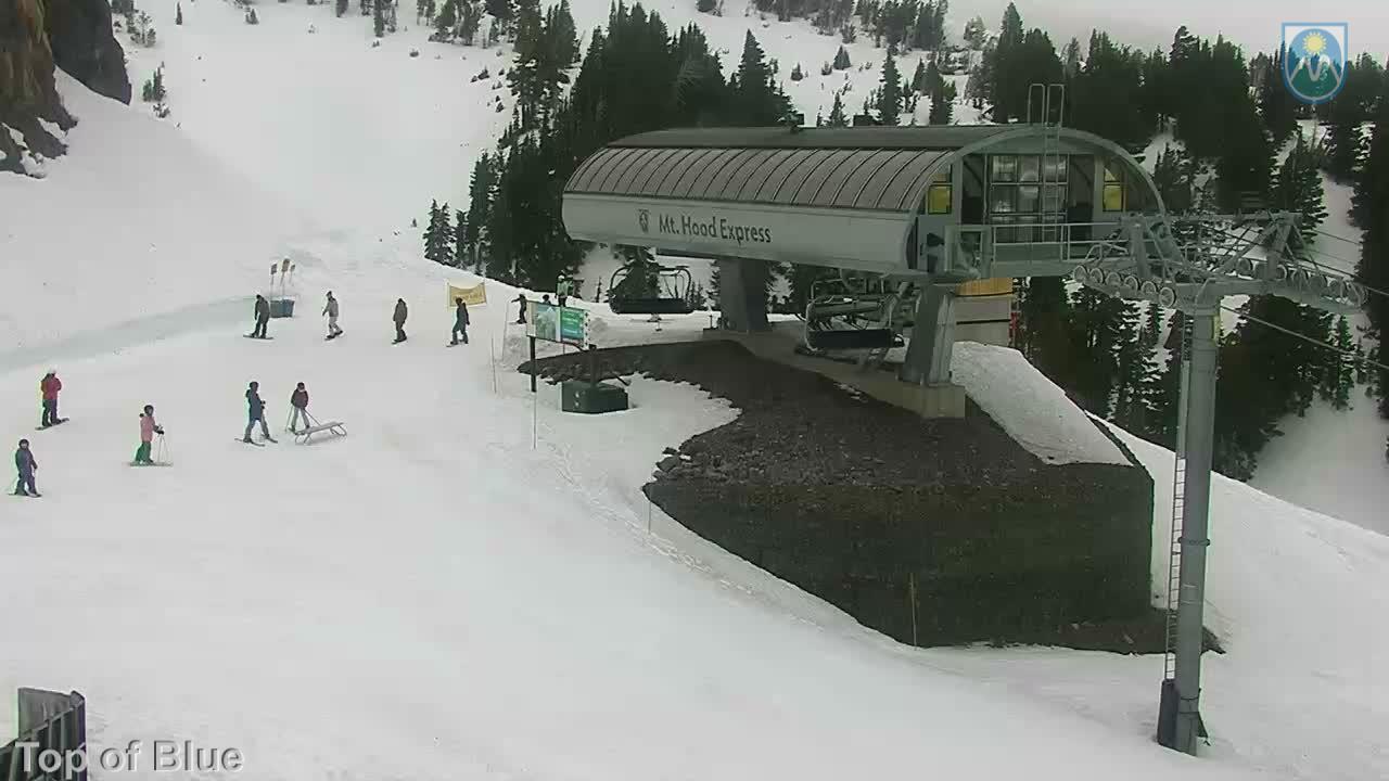 Webcam Mount Hood Meadows: Top of Blue