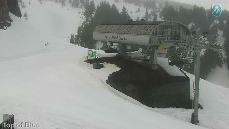 Webcam Mount Hood Meadows: Top of Blue