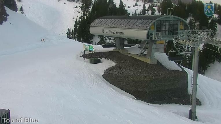 Webcam Mount Hood Meadows: Top of Blue