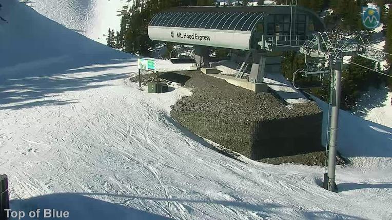 Webcam Mount Hood Meadows: Top of Blue