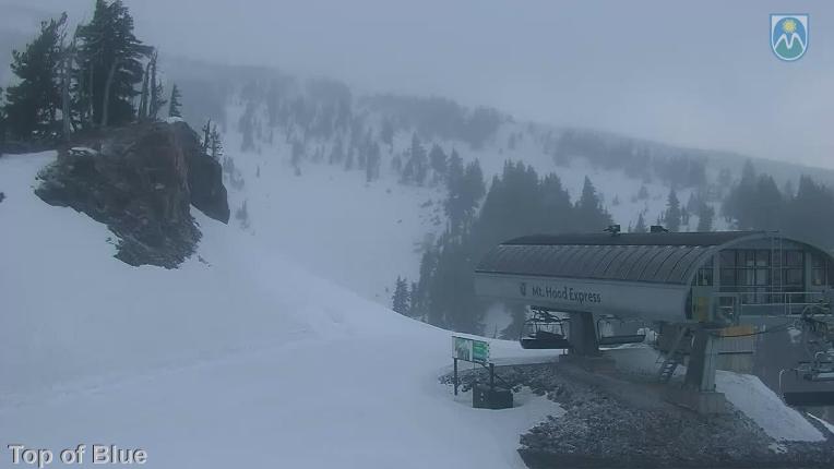 Webcam Mount Hood Meadows: Top of Blue