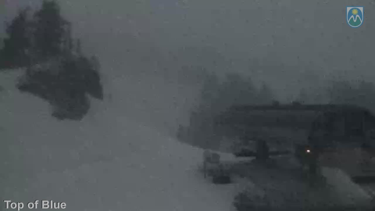 Webcam Mount Hood Meadows: Top of Blue