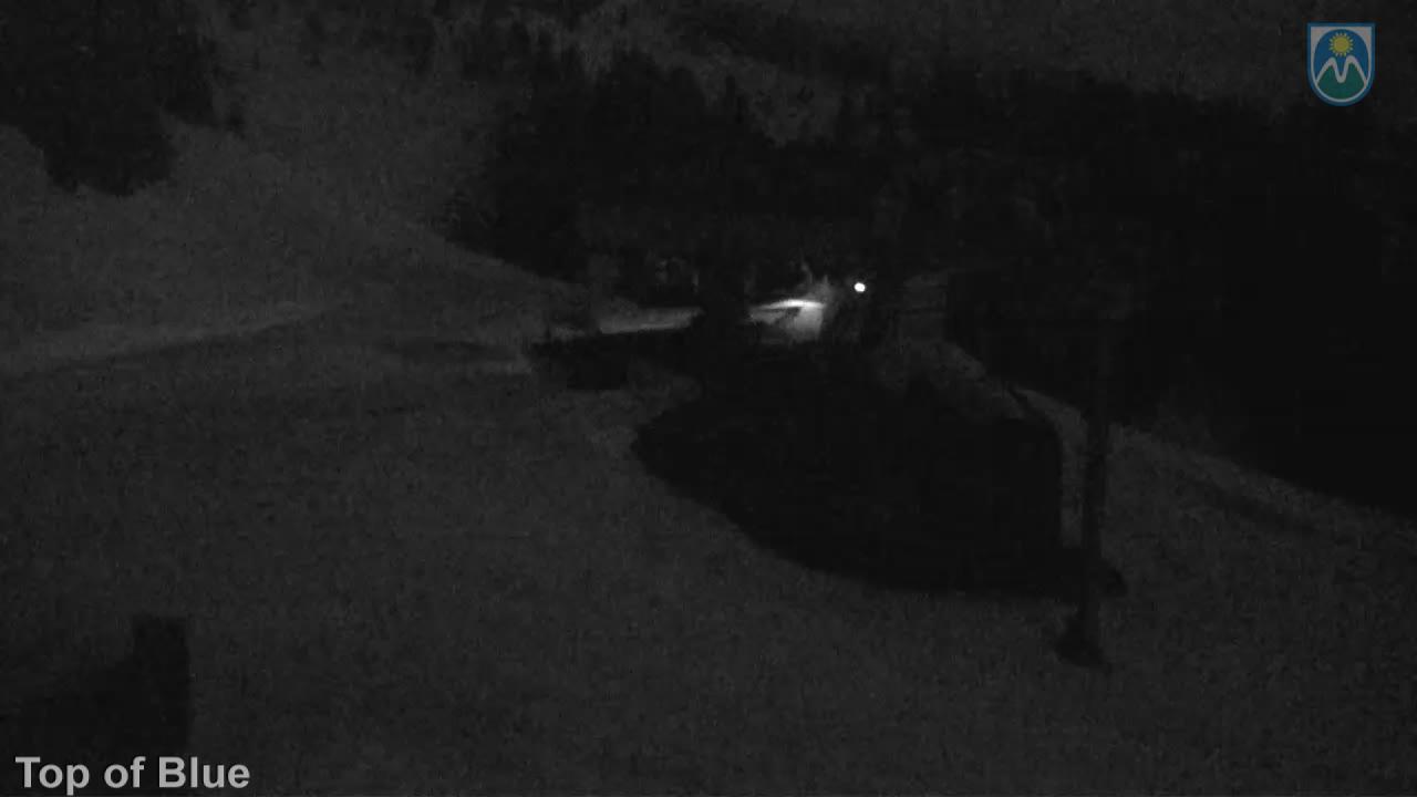 Webcam Mount Hood Meadows: Top of Blue