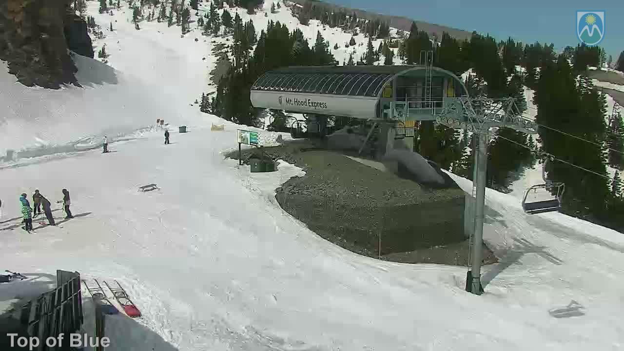 Webcam Mount Hood Meadows: Top of Blue