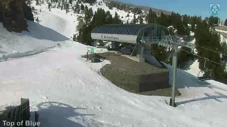 Webcam Mount Hood Meadows: Top of Blue