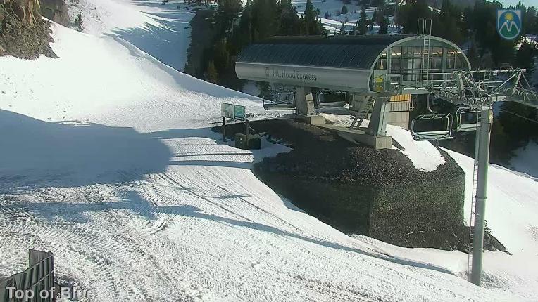 Webcam Mount Hood Meadows: Top of Blue