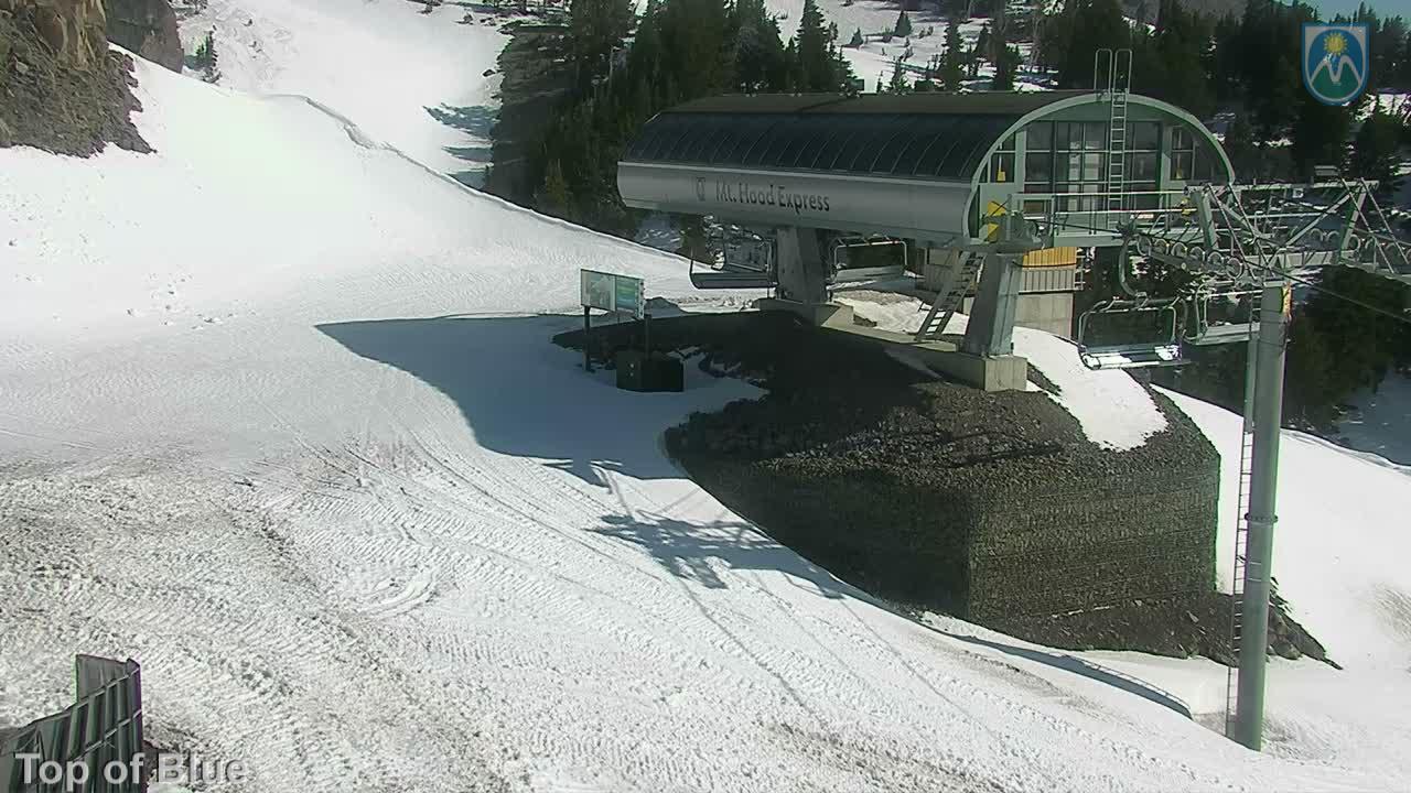 Webcam Mount Hood Meadows: Top of Blue