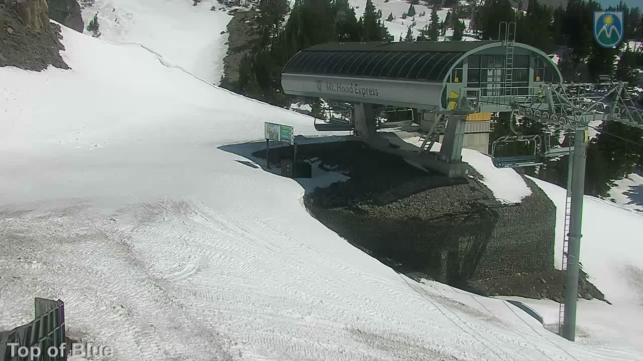 Webcam Mount Hood Meadows: Top of Blue