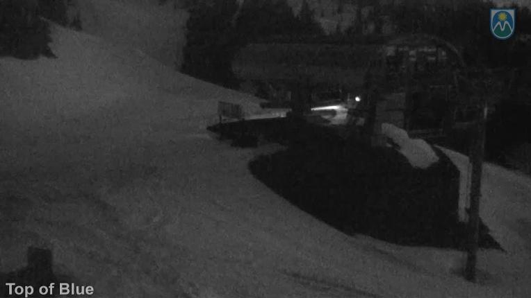 Webcam Mount Hood Meadows: Top of Blue