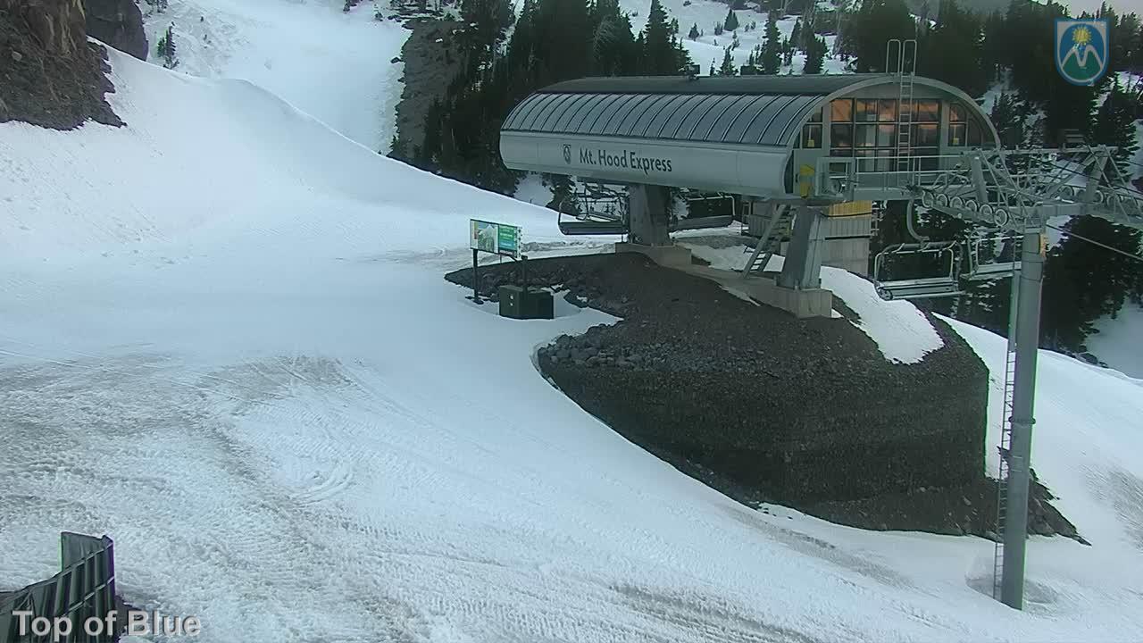 Webcam Mount Hood Meadows: Top of Blue