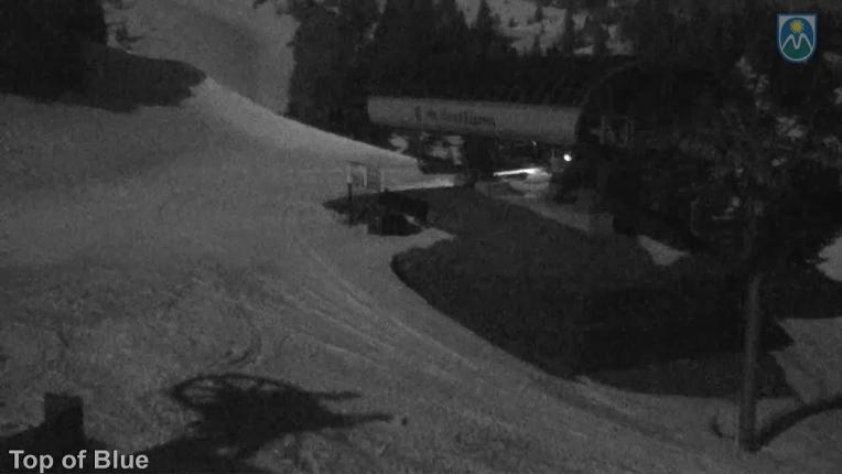 Webcam Mount Hood Meadows: Top of Blue