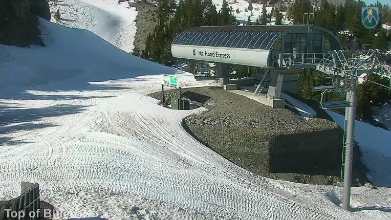 Webcam Mount Hood Meadows: Top of Blue