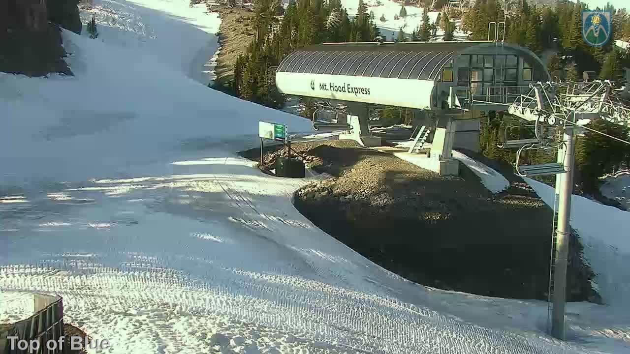 Webcam Mount Hood Meadows: Top of Blue