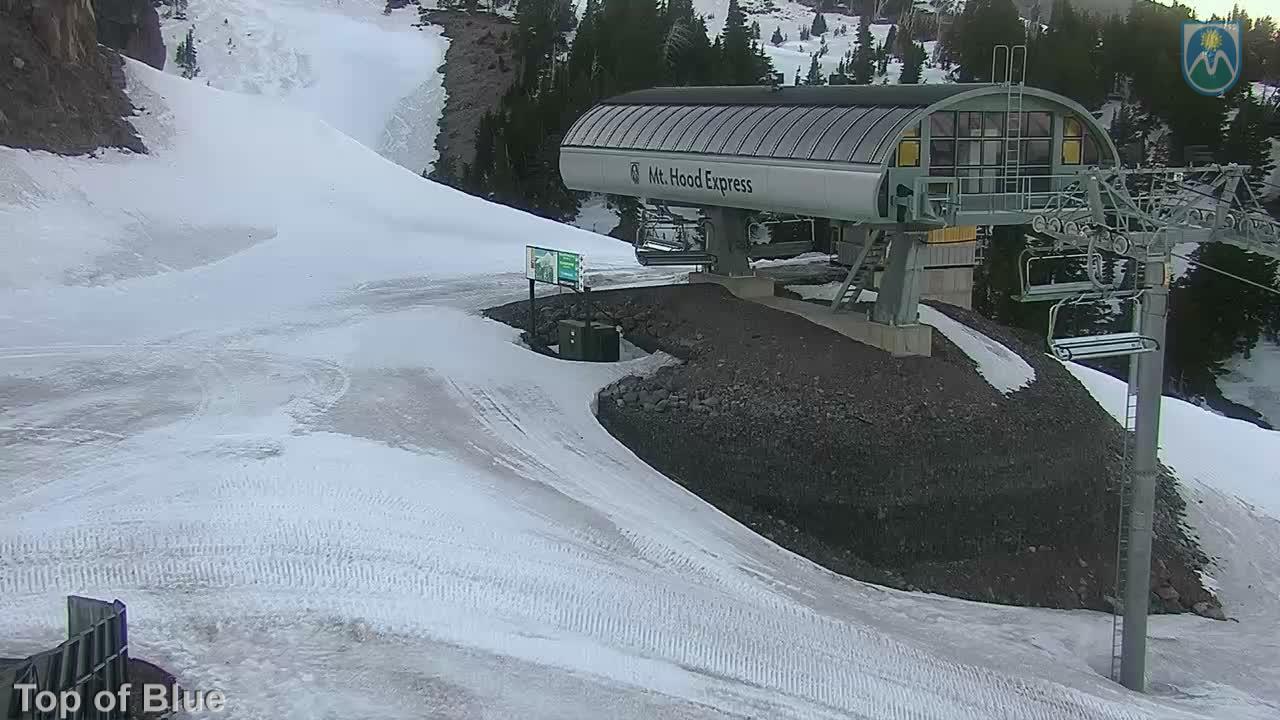 Webcam Mount Hood Meadows: Top of Blue